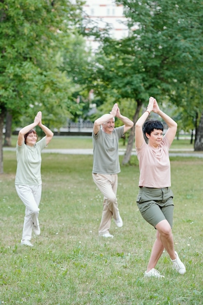 Enseñar a las personas mayores a hacer ejercicio de equilibrio