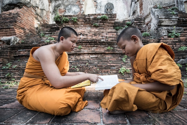 Ensine jovens monges novatos