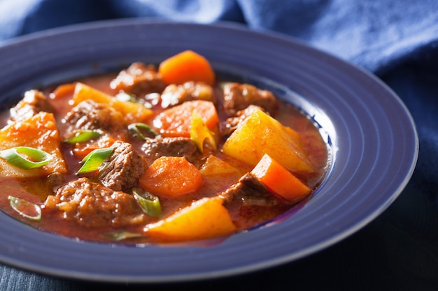 Ensopado de carne com batata e cenoura em chapa azul