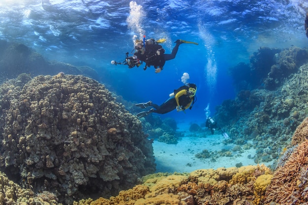 Entdeckung der Schönheit der Unterwasserwelt Rotes Meer