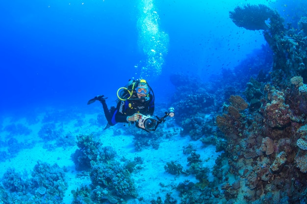 Entdeckung der Schönheit der Unterwasserwelt Rotes Meer