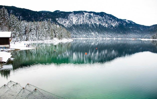 Enten schwimmen am See im Wald der europäischen Alpen im Winter mit Schnee und gefrorenen Bäumen und Bergen im Hintergrund