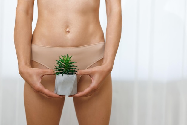 Enthaarung und Gesundheitspflege in Unterwäsche mit Kaktus in der Hand Frau mit Kaktus zeigt glatte Haut