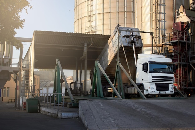 Entladen von Getreide-LKW am Aufzug auf der Hubplattform Getreideumschlag am Terminal im Seehafen