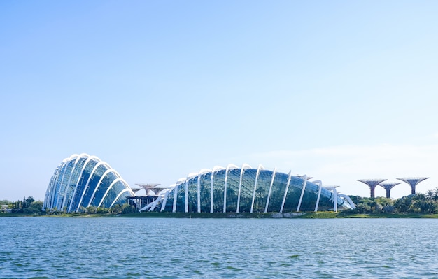 Entorno de domo de bosque nuboso en Gardens by the Bay, un bosque tropical, Singapur