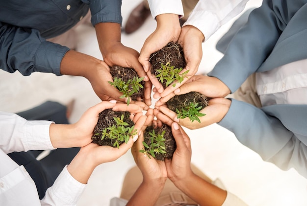 Foto entorno de trabajo en equipo y planta con manos de empresarios desde la vista superior para la sostenibilidad del día de la tierra o el crecimiento apoyo al bienestar y suelo con grupo para el futuro del cambio climático y respetuoso con el medio ambiente