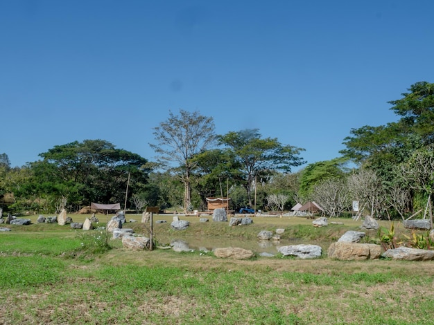 Entorno verde ecología natural cielo azul vista de árbol montaña piedra roca paisaje exterior bosque tr