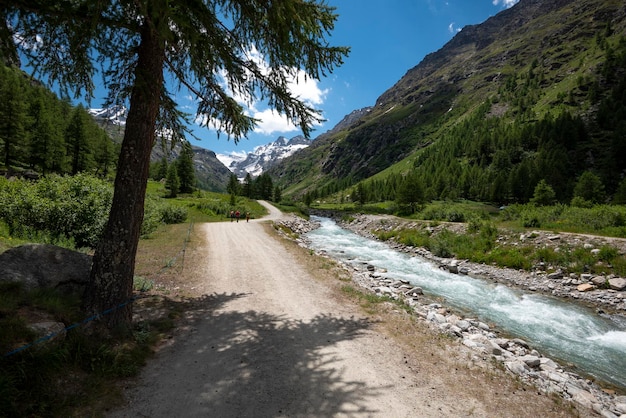 Entrada al Parque Nacional del Gran Paradiso Aosta Italia