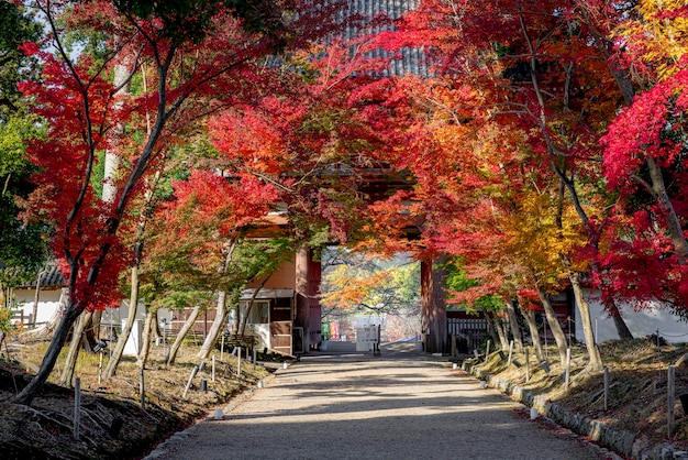 Entrada al templo japonés de Daigo ji