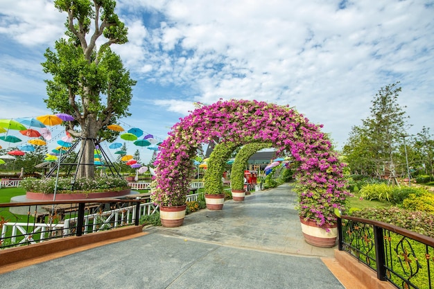 Foto entrada do parque com decoração de arco de flores de bougainvillea roxa com guarda-chuva