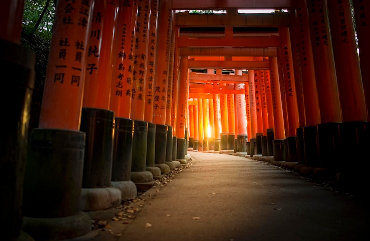 Foto entrada do portão torii