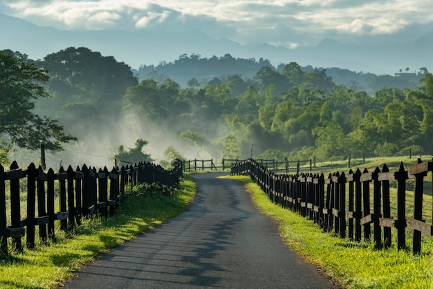 Entrada rural através de piquetes na fazenda