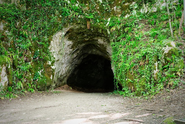 Entrar a la cueva en el bosque verde en el parque nacional croacia