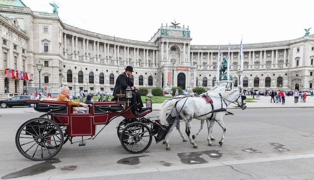 Entrenador en el palacio de Hofburg