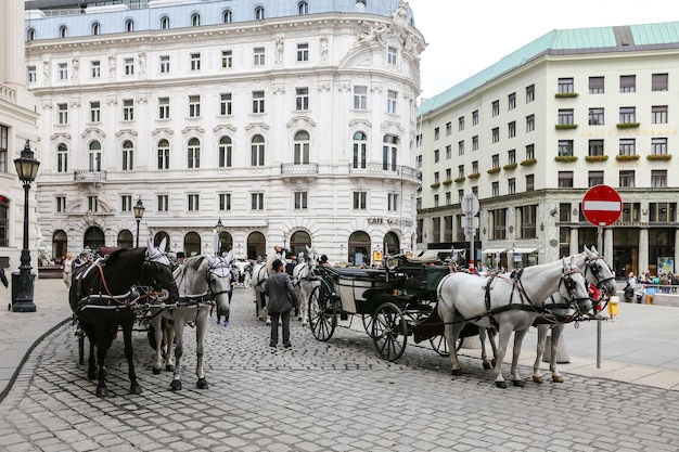 Entrenador en el palacio de Hofburg