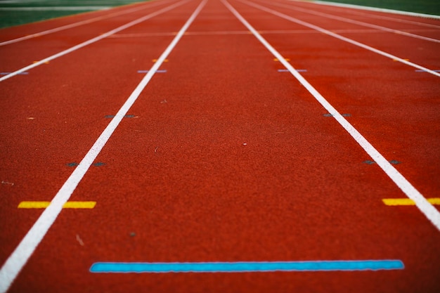 Entrenamiento de atletismo en pista