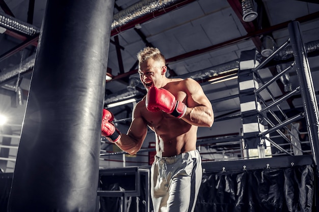 Entrenamiento de boxeador en un saco de boxeo en el gimnasio.