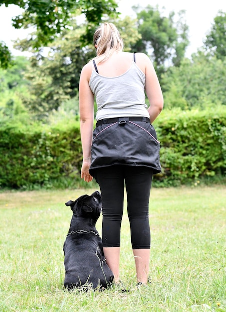 Entrenamiento canino para disciplina de obediencia con un miembro del personal.