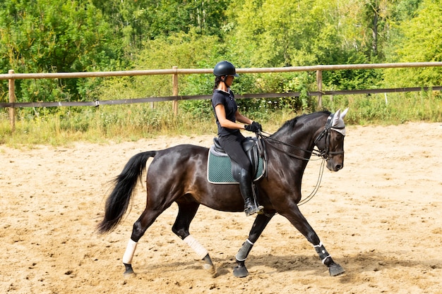 Entrenamiento de un jinete y su caballo bayo en doma