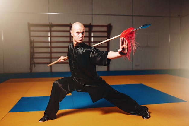 Entrenamiento maestro de Wushu con lanza, artes marciales