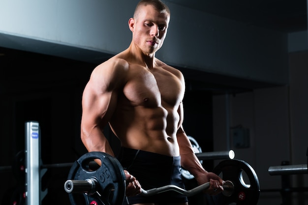 Entrenamiento con mancuernas en el gimnasio