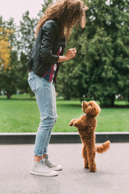 Entrenamiento de mascotas. Mujer joven jugando con su lindo perro caniche en el parque, espacio de copia