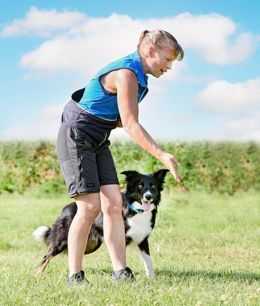 entrenamiento de obediencia con un border collie