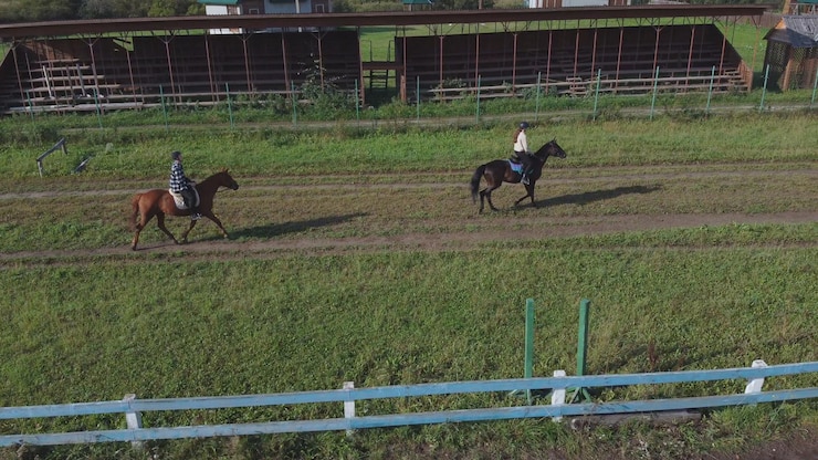 Foto entrenamiento pasatiempo durante las vacaciones montar a caballo en el club ecuestre de la granja una familia joven monta