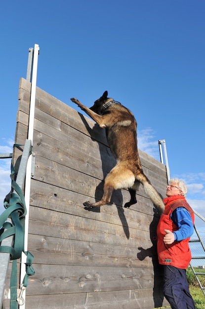 Foto entrenamiento de perro policía