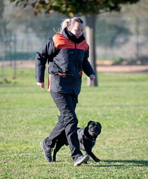 Foto entrenamiento de perros para la disciplina de obediencia con un personal