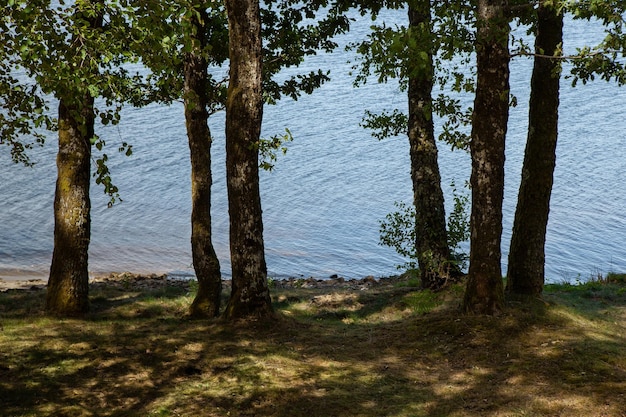 Entspannung im Freien in der französischen Landschaft