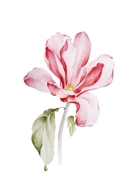 El entusiasmo es audaz y desenfrenado por las flores, el diseño artístico de hojas y flores.