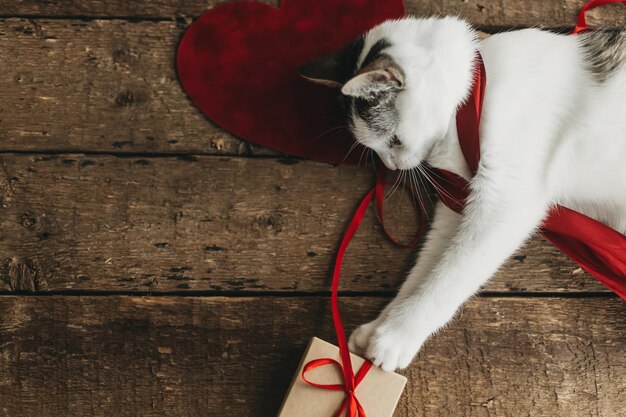 Entzückende Katze, die mit rotem Band und Geschenkbox auf rustikalem Holz spielt Fröhlicher Valentinstag Liebe