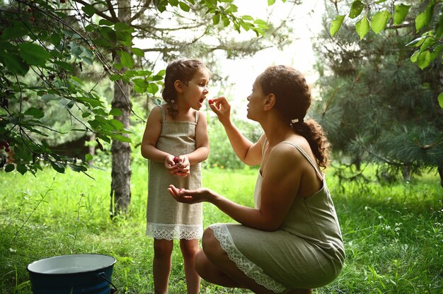 Entzückende Mutter füttert ihre Tochter mit gepflückten Kirschen im Garten. Beim Kirschpflücken im Sommer kleiden sich Mutter und Tochter gleich. Mutterschaft, Kindheit, familiäre Beziehungen.