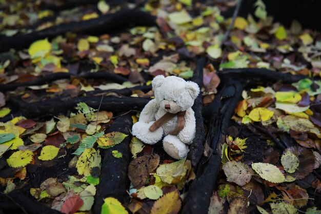 Entzückender brauner Stofftier-Teddybär mit gelbem Ahornblatt auf dem Kopf sitzt auf trockenen orangefarbenen Blättern auf dem Boden im Herbstpark an einem schönen sonnigen Tag, Nahaufnahme zurück zum Schulkonzept