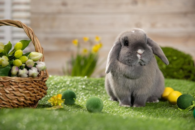 Entzückender Hase mit Ostereiern