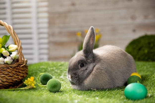 Entzückender Hase mit Ostereiern