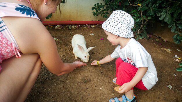 Entzückender Kleinkindjunge mit junger Mutter, die süßes weißes Kaninchen aus der Hand im Zoo füttert