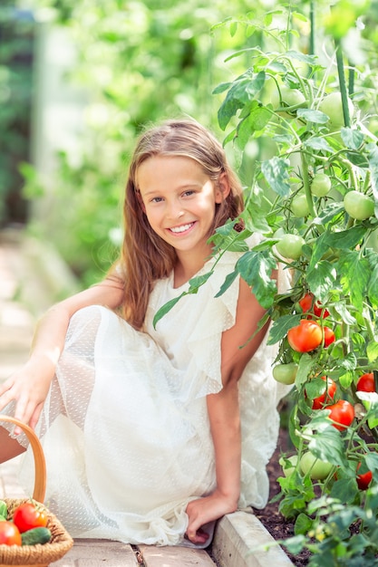 Entzückendes kleines Mädchen, das Gurken und Tomaten im Gewächshaus erntet.