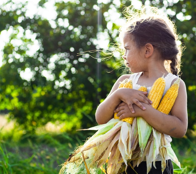 Entzückendes kleines Mädchen, das in einem Maisfeld am schönen Herbsttag spielt. Hübsches Kind, das einen Maiskolben hält. Mit Kindern ernten. Herbstaktivitäten für Kinder.