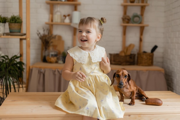 Entzückendes kleines Mädchen in einem schönen Kleid spielt mit einem Dackelhund in der Küche und füttert sie