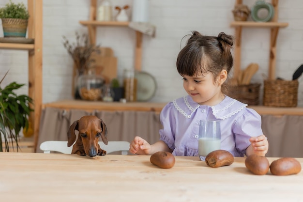 Entzückendes kleines Mädchen mit einem kleinen Dachshund, der Milch in der Küche trinkt. Platz für Text, Banner