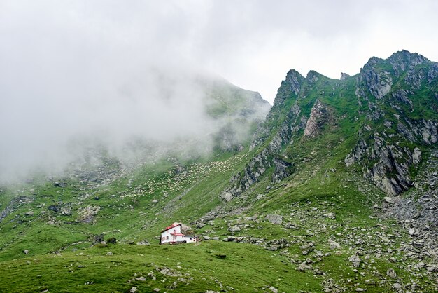 Entzückendes kleines weißes Haus auf dem Hügel im Gebirgstal Rumäniens