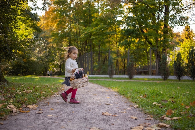 Entzückendes Kleinkindmädchen, das von einem sonnigen Herbstprak-Baby mit einem Korb voller Blätter läuft