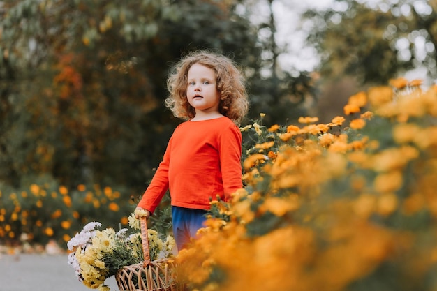 entzückendes lockiges kleines Mädchen im roten Hemd im Park mit Blumenkorb zur Herbstzeit Herbstgesundheit