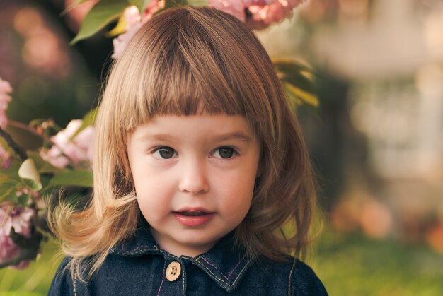 Entzückendes Porträt des kleinen Mädchens im Garten, Sakura-Blüte