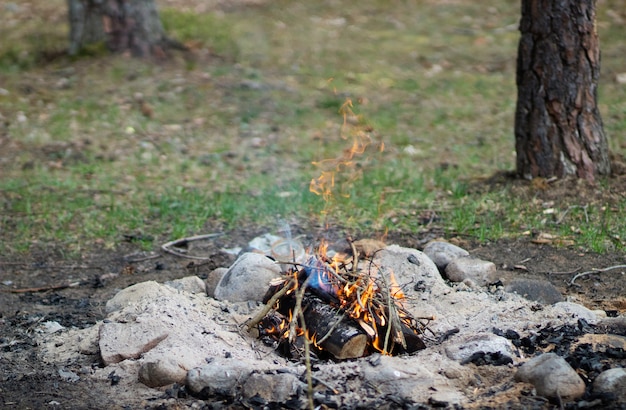 Entzünden Sie ein Feuer im Wald, während Sie sich ausruhen