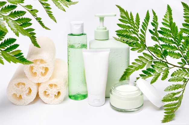 Envases cosméticos con hojas de hierbas verdes, paquete de etiqueta en blanco para maqueta de marca. Crema hidratante, champú, tónico, cuidado de la piel facial y corporal. Productos de belleza orgánicos naturales.