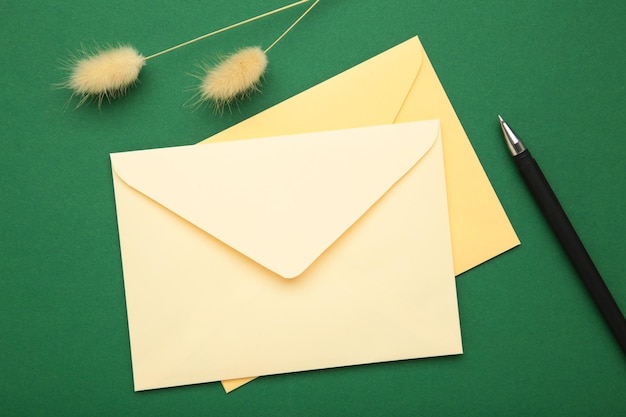 Envelope bege com fita em verde com flores secas