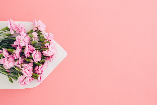 Envelope branco com flores cor de rosa na cor rosa. mail para você